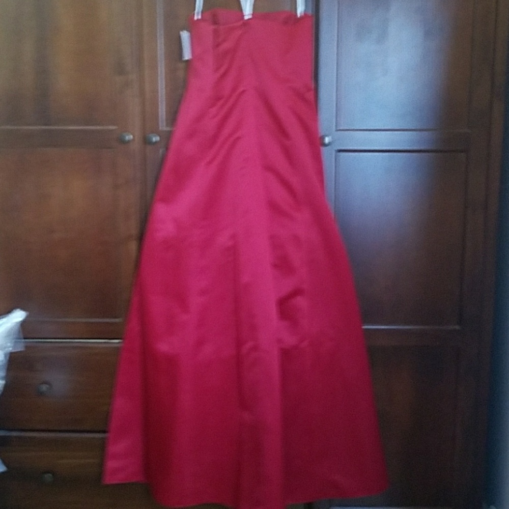 David's Bridal Bridesmaid Dresses - Picture 7 of 8